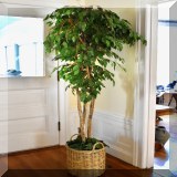 D81. Faux ficus - $50 